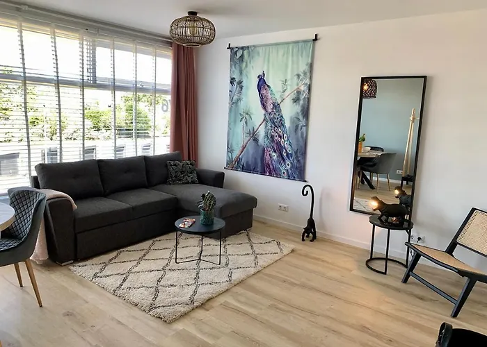 Amsterdam 76 잔드보르트